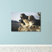 Alberta, Kanada 2 Leinwanddruck (Insitu (Holzboden))