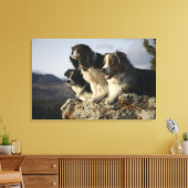 Alberta, Kanada 2 Leinwanddruck (Insitu (Wohnzimmer))