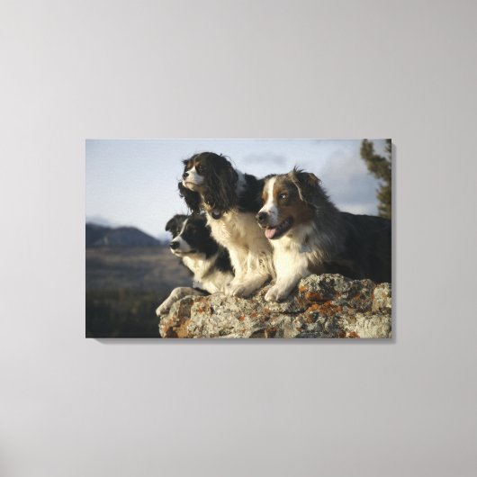 Alberta, Kanada 2 Leinwanddruck (Vorderseite)