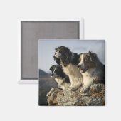 Alberta, Kanada 2 Magnet (Vorderseite/Rückseite)