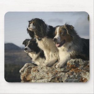 Alberta, Kanada 2 Mousepad