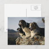 Alberta, Kanada 2 Postkarte (Vorne/Hinten)