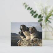 Alberta, Kanada 2 Postkarte (Stehend Vorderseite)