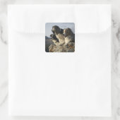 Alberta, Kanada 2 Quadratischer Aufkleber (Tasche)