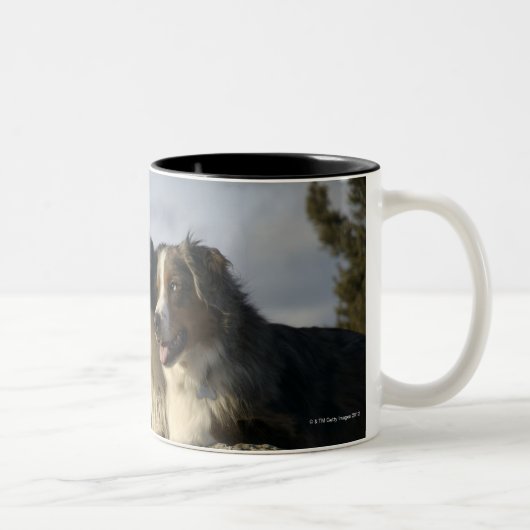 Alberta, Kanada 2 Zweifarbige Tasse (Rechts)