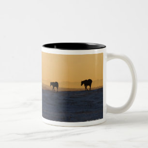 Alberta, Kanada 3 Zweifarbige Tasse