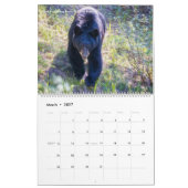 Alberta, Kanada - Banff to Jasper National Park Kalender (Mär 2027)