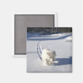 Alberta, Kanada Magnet (Vorderseite/Rückseite)