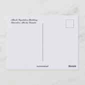 Alberta Legislature Building Alberta Canada Postkarte (Rückseite)