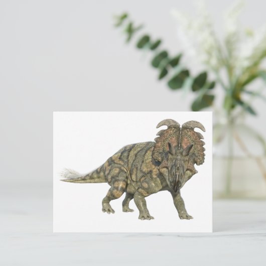 Albertaceratops Dinosaurier Blick auf die Front Postkarte (Stehend Vorderseite)