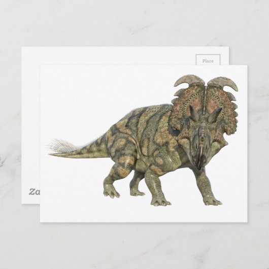 Albertaceratops Dinosaurier Blick auf die Front Postkarte (Vorne/Hinten)