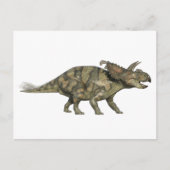 Albertaceratops Dinosaurier im Seitenprofil Postkarte (Vorderseite)