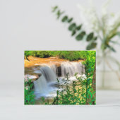 Alberts Falls, Thomas, West Virginia Postkarte (Stehend Vorderseite)