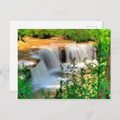 Alberts Falls, Thomas, West Virginia Postkarte (Vorne/Hinten)