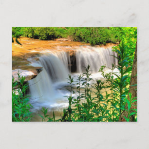 Alberts Falls, Thomas, West Virginia Postkarte