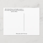 Albin Polasek Skulptur Gardens Winter Park FL Postkarte (Rückseite)