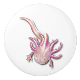 Albino Axolotl "Walking Fish" Kunst, Dichtung und  Keramikknauf