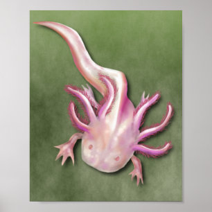 Albino Axolotl "Walking Fish" Kunst, Dichtung und  Poster