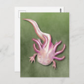 Albino Axolotl "Walking Fish" Kunst, Dichtung und Postkarte (Vorne/Hinten)