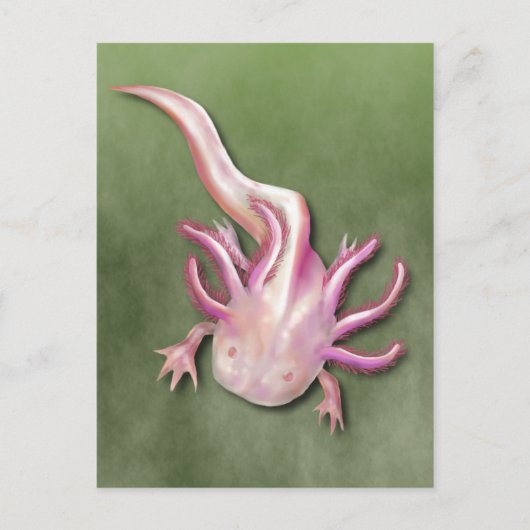 Albino Axolotl "Walking Fish" Kunst, Dichtung und Postkarte (Vorderseite)