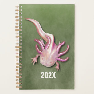Albino Axolotl "Walking Fish"  Planer