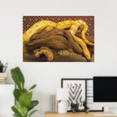 Albino Corn Snake Poster (Heimbüro)