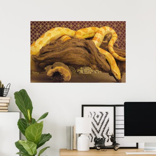 Albino Corn Snake Poster (Heimbüro)