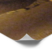 Albino Corn Snake Poster (Ecke)