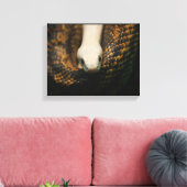 Albino Cornsnake auf Leinwand (Insitu (Wohnzimmer))