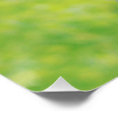 Albino Deer Poster (Ecke)
