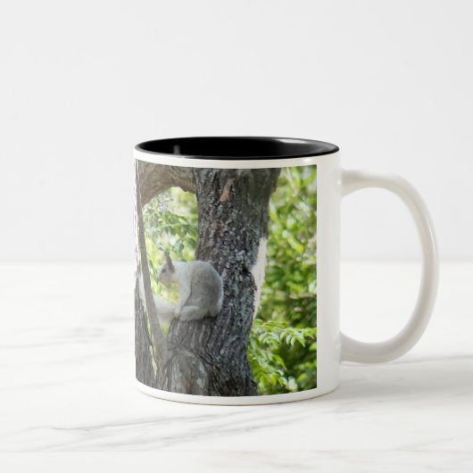 Albino Eichhörnchen-Tasse Zweifarbige Tasse (Rechts)