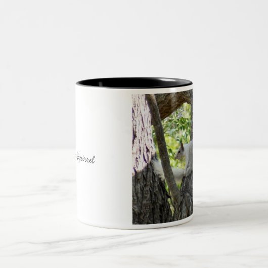 Albino Eichhörnchen-Tasse Zweifarbige Tasse (Mittel)