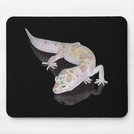 ALBINO-ENIGMA-LEOPARDGECKO MOUSEPAD (Vorne)