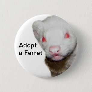 Albino Ferret Picture Button