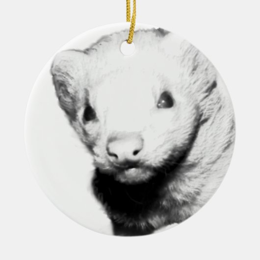 Albino Ferret Picture Keramikornament (Vorne)