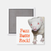 Albino Ferret Picture Magnet (Vorderseite/Rückseite)