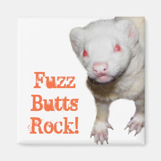Albino Ferret Picture Magnet (Vorne)