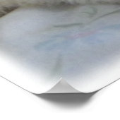 Albino Ferret Picture Poster (Ecke)