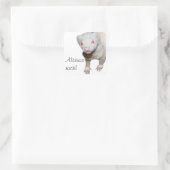 Albino Ferret Picture Quadratischer Aufkleber (Tasche)