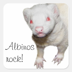 Albino Ferret Picture Quadratischer Aufkleber