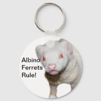 Albino Ferret Picture