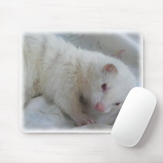 Albino-Frettchen-Bild Mousepad (Mit Mouse)