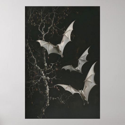 Albino-Fruchtfledermäuse Kunst Druckbar, Dunkle Bo Poster (Vorne)