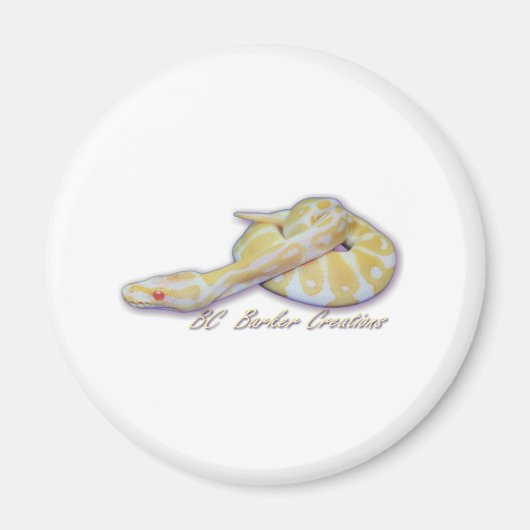 Albino Hatchling Ball Python Magnet (Vorne)