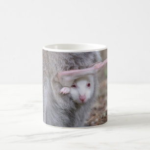 Albino Joey in der Tasche Kaffeetasse