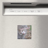 Albino Joey in der Tasche Magnet (In Situ (Geschirrspüler))