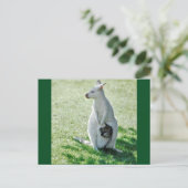 Albino Kangaroo und sein kleines Postkarte (Stehend Vorderseite)