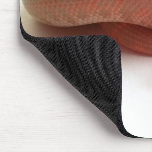 Albino Kenyansand-Boa mousepad (Ecke)