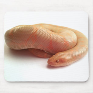 Albino Kenyansand-Boa mousepad