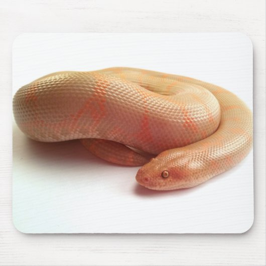 Albino Kenyansand-Boa mousepad (Vorne)